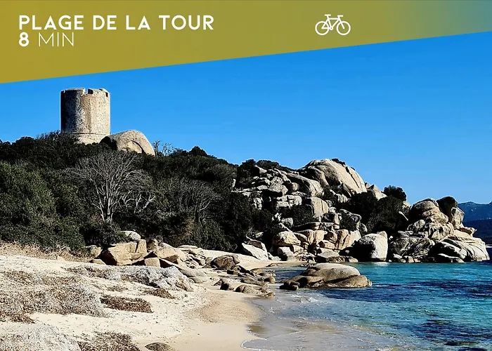 T2 élégant Avec Piscine Chauffée&plage Privée